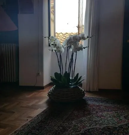 Bed & Breakfast B&B44 *